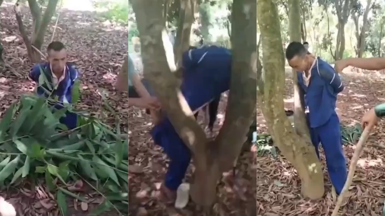 物理阉割！网传缅甸一男子强奸亲生女儿致其怀孕5个月 族人将男子绑树上噶了卵蛋