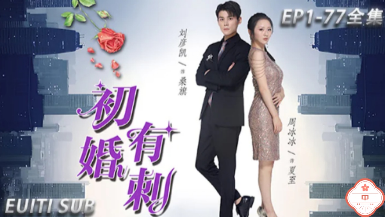 初婚有刺（中）