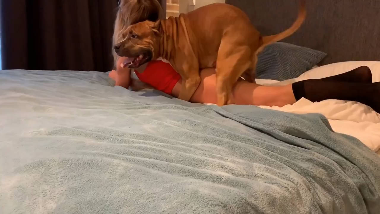 睡前与大黄来一发 红衣妹子对狗屌很满意