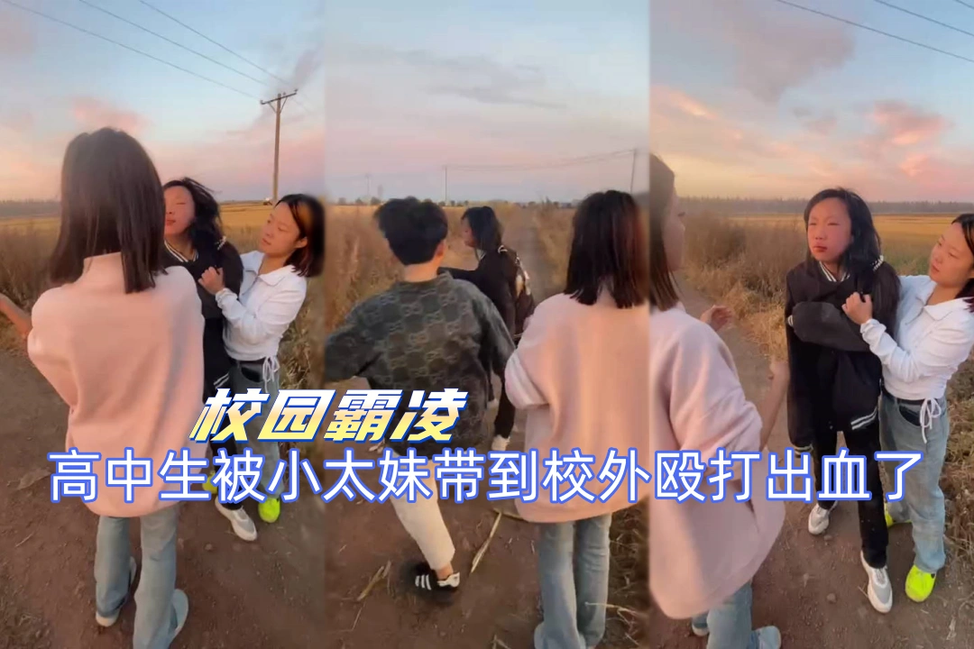 高中生在野外被几个女生暴打 嘴角都出血了真可怜