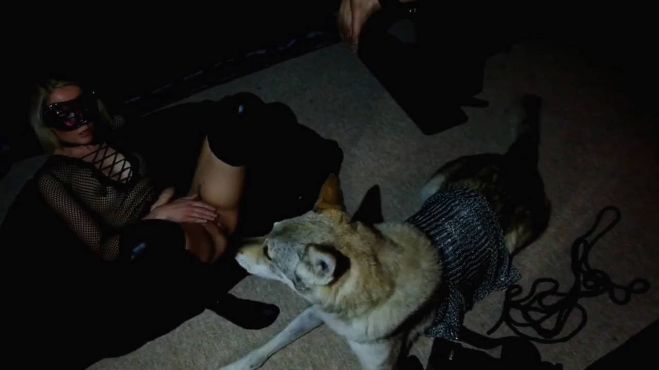 真刑掳来的美女不敢让给自己的大狗操